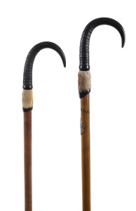 Two walking sticks, horn and hoof on cane, German, 19th century