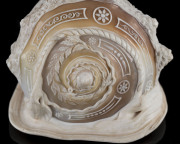 A fine Italian carved conch shell, Torre Del Greco, Naples, mid 19th century  - 8