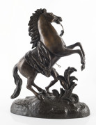 A pair of French bronze Marly Horse statues, after GUILLAUME COUSTOU (1677-1746), late 19th century  - 9