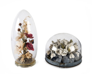 Two floral displays in glass domes, 19th and 20th century