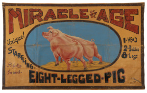 "MIRACLE OF THE AGE Unique! STARTLING Perfectly formedEIGHT-LEGGED-PIG1 - HEAD 2 - BODIES 8 - LEGSG.Stromberg, Sign."Very large hand-painted sign on canvas, circa 1900;163 x 263cm.Purchased in North Queensland, the sign was almost certainly created to att