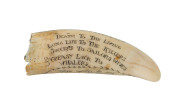 A scrimshaw whales tooth titled "Ship Susan. 1871" with whaling limerick on reverse - 2