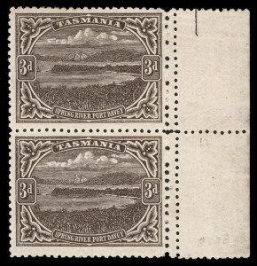 TASMANIA: 1905-11 (SG.253c) 3d brown, perforated 12½ x 11 vertical marginal pair, both units also displaying the double vertical row of different perf gauges at right. Upper unit Mint; lower unit MUH. Cat.£850+.