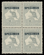 COMMONWEALTH OF AUSTRALIA: Kangaroos - CofA Watermark: £1 Grey, overprinted SPECIMEN, block of (4), with lower left stamp showing an unlisted variety: TWO GREY COLOUR DOTS BEFORE FIRST A IN AUST. Minor perf separations at base and minor discolouration to