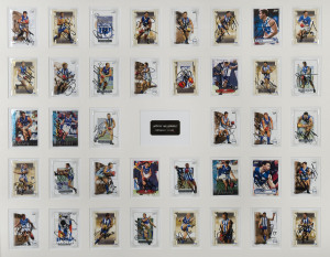 NORTH MELBOURNE: A framed & glazed display of fully signed trade cards, (38) including Sav Rocca, Shannon Grant, Brent Harvey, Anthony Stevens, Glen Archer, etc. 75 x 92cm overall.