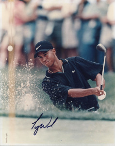 GOLFING GREATS: A collection of 8" x 10" colour photographs, all signed and all with CoAs, comprising Tiger Woods, Hale Irwin, Vijay Singh, Nick Price, Greg Norman, Phil Mickelson, Tom Lehman, Bernhard Langer, Lee Janzen, Sergio Garcia, Nick Faldo, Ernie 