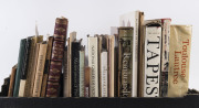 ART, SCULPTURE & TAPESTRY: A small library of reference books on Australian and international art mostly hardcover&nbsp; - 2