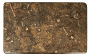 A coffee table, wrought iron with stone slab top with fossilized&nbsp;specimen inclusions, French, 20th century, - 2