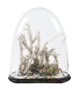An antique coral display in glass dome (damaged), 19th century