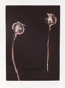 FIONA FOLEY [born 1964], Opium #6 - Shackled, etching & aquatint on paper, 2008, editioned 1/20, signed and dated in lower margin, 29 x 20.5cm.