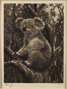 ERNEST EDWIN ABBOTT [1888 - 1973], Security, Dignity c1930, two etchings, titled and editioned in lower margins, authenticated verso by son, R.D.Abbott, 21 x 20cm and 24 x 18cm. (2).