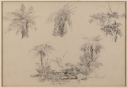 CHARLES BENNETT [1869 - 1930], Healesville, watercolour, circa 1920, titled at lower right and inscribed verso "Yarra Flatts near Healesville by Chas Bennett, Glen Point", 17 x 25cm. also, Tree Ferns, pencil sketch, signed lower right, 21 x 31cm. - 3