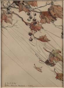 HAROLD BROCKLEBANK HERBERT [1892-1945], [Autumn Leaves], pencil on paper, inscribed at base "To C.S.B. from Harold Herbert, '43", 19.5 x 14cm.