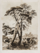 JAMES DUFFIELD HARDING [English, 1798 - 1863], Nine lithographic images, from "The Park and the Forest" - 1841 - printed by Charles Joseph Hullmandel, Beech; Ash, Sycamore and Oak; Scotch Fir; Elm; Wych Elm and Firs; Elm and Birch; Stone Pines; Birch and - 2