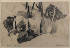 SHAY DOCKING [1928 - 1998], Grampians and Blackboys, pencil drawing on paper, signed, titled and dated 1956, 19 x 28cm.