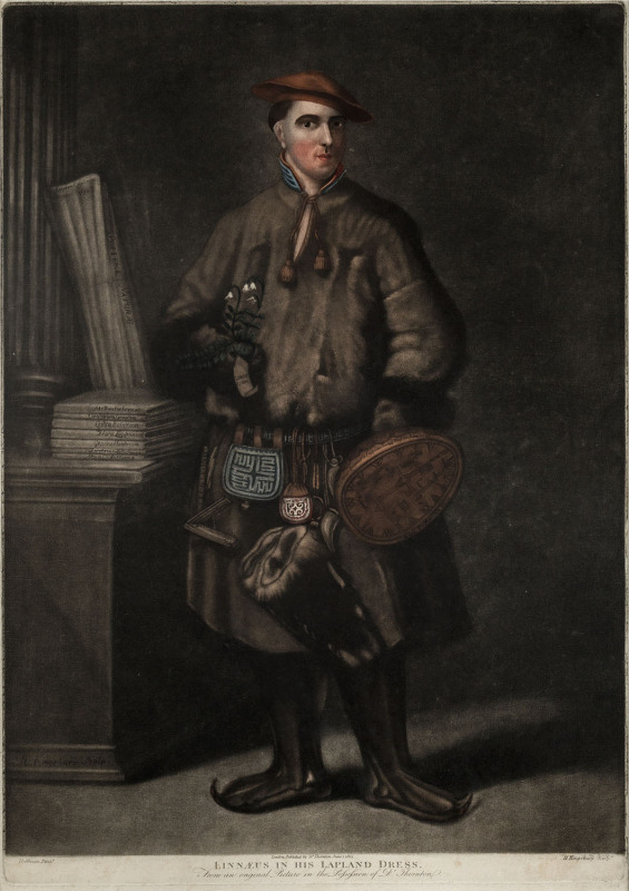 Linnaeus in his Lapland Dress. From an original Picture in the possession of Dr. Thornton. Hoffman pinx.t. H.Kingsbury sculp.t. London published by Dr. Thornton June 1. 1805. Mezzotint, 50 x 35cm. Carl Linnaeus the elder, (1707-1778), is depicted with a