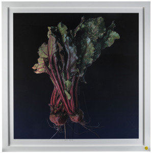 CHIPS MACKINOLTY [born 1954], I Rrappi Rrussi (Beetroot), I Cipuda Scalognu (Spring Onions), pair of inkjet prints on German etching paper, 2015, titled and editioned (3 of 5) in lower margins, each 90 x 90cm. (2 items)