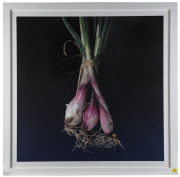 CHIPS MACKINOLTY [born 1954], I Rrappi Rrussi (Beetroot), I Cipuda Scalognu (Spring Onions), pair of inkjet prints on German etching paper, 2015, titled and editioned (3 of 5) in lower margins, each 90 x 90cm. (2 items) - 2