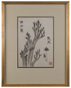 TSAI-SHIU-YIH (circa 1875), Buddha's Finger Algae, Chinese watercolour on silk, ​28 x 22cm - 2