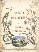 BOTANICAL ETCHINGS, LITHOGRAPHS & ORIGINAL ARTWORKS: A diverse group, including 3 framed, the remainder attractively mounted. Various sizes. Includes some very early examples. (29 items) - 4