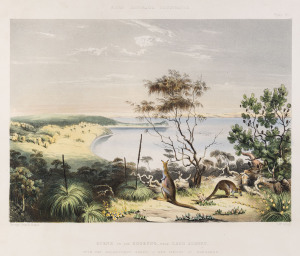 GEORGE FRENCH ANGAS [1822 – 1886], Scene on the Coorong, near Lake Albert. lithograph, printed with tint stone and hand-colouring, from "South Australia Illustrated", 1847, 23 x 32.5cm.