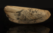 An impressive scrimshaw whale's tooth with flag and whaling scene engraved "Greasy Luck To Whalers Sperm Whaling Off Van Diemen's Land, 1841", 20cm long - 2