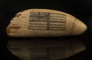 An impressive scrimshaw whale's tooth with flag and whaling scene engraved "Greasy Luck To Whalers Sperm Whaling Off Van Diemen's Land, 1841", 20cm long