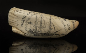 A scrimshaw whale's tooth engraved "North Cape, New Zealand, 1839", reserve with American eagle and flag engraved "Pluribus Anum", 21cm high