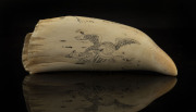 A scrimshaw whale's tooth engraved "North Cape, New Zealand, 1839", reserve with American eagle and flag engraved "Pluribus Anum", 21cm high - 2