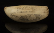 A scrimshaw whale's tooth engraved "Cape Of Good Hope, September, 1855", reverse engraved "Marianne, Sperm whale milled around Captain W.H. Lovitt and two seamen killed", ​17cm long - 2