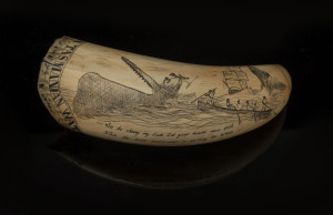 A scrimshaw whale's tooth engraved "Sperm Whaling In Tasmanian Waters, In Memory Of WILLIAM C.J. KIRKWOOD Of Boston Mass. Who Fell From Aloft And Was Drowned In 25 Years Of His Age, Feb. 10. 1850", ​16cm high
