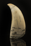 A scrimshaw whale's tooth engraved "METACOM, From New Bedford To The Pacific, 1842", ​17cm high - 2