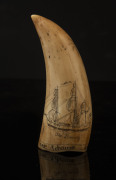 A scrimshaw whale's tooth with female portrait titled "Hannah Young nee Adams, Pitcairner, The Bounty", ​13cm high - 2