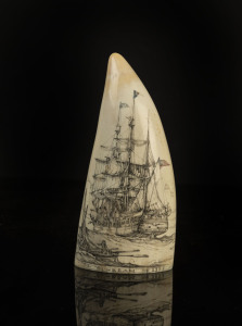 A scrimshaw whale's tooth engraved "The Sunbeam, 1856", 15cm high