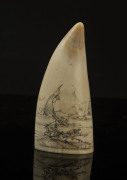 A scrimshaw whale's tooth engraved "The Sunbeam, 1856", ​15cm high - 2