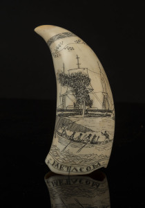 A scrimshaw whale's tooth engraved "Metacom, Capt. Willm. Shockley, New Bedford - Mass. 1848", 14.5cm high
