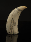 A scrimshaw whale's tooth engraved "Metacom, Capt. Willm. Shockley, New Bedford - Mass. 1848", ​14.5cm high - 2