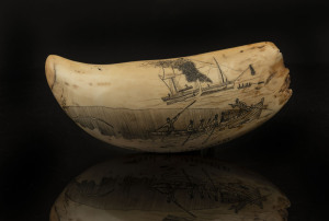 A scrimshaw whale's tooth engraved "Coast Of Madagascar, 1846", ​17.5cm long
