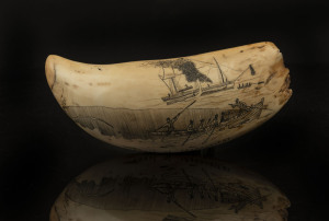A scrimshaw whale's tooth engraved "Coast Of Madagascar, 1846", 17.5cm long