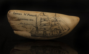 A scrimshaw whale's tooth engraved "Charles W. Morgan, Launched 1841 New Bedford, Mass.", 19cm long