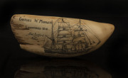 A scrimshaw whale's tooth engraved "Charles W. Morgan, Launched 1841 New Bedford, Mass.", ​19cm long