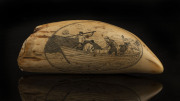 A scrimshaw whale's tooth engraved "Charles W. Morgan, Launched 1841 New Bedford, Mass.", ​19cm long - 2