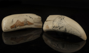 Two scrimshaw whale's teeth, one engraved "South Seas Fishery" the other with a walrus, 14cm and 15cm long