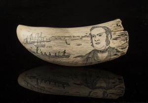 A scrimshaw whale's tooth engraved "Portland Bay, Edward Henty", 14cm high