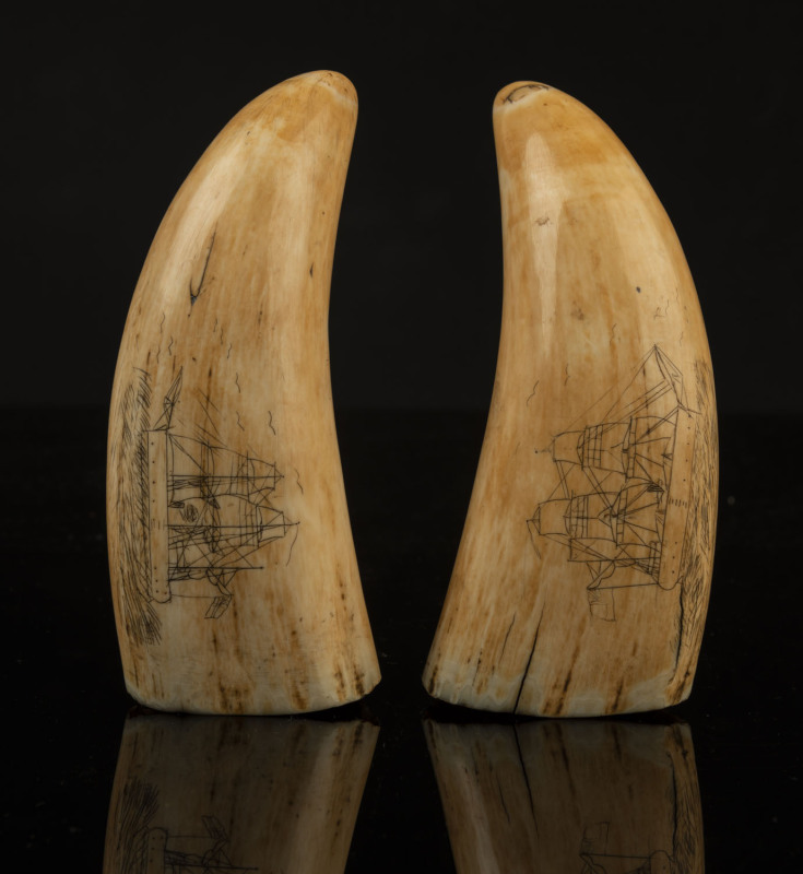 Two scrimshaw whale's teeth with ship portraits, ​14cm and 14.5cm high