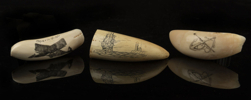 Three scrimshaw whale's teeth with ship scene, anchor and sperm whale scene, ​9cm long