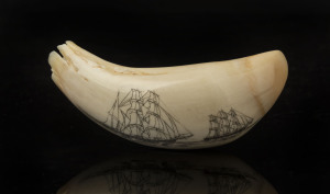 A scrimshaw whale's tooth with tallships, monogrammed "J.F.C.", ​11cm long