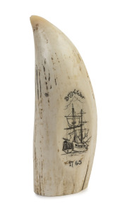 A scrimshaw whale's tooth ​titled "Brig Of War, 1765",