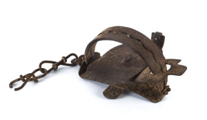 An iron platypus trap, late 19th century, 15cm across