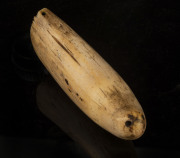 TABUA, Fijian chieftain's whale tooth amulet, 19th century, ​17cm long - 2